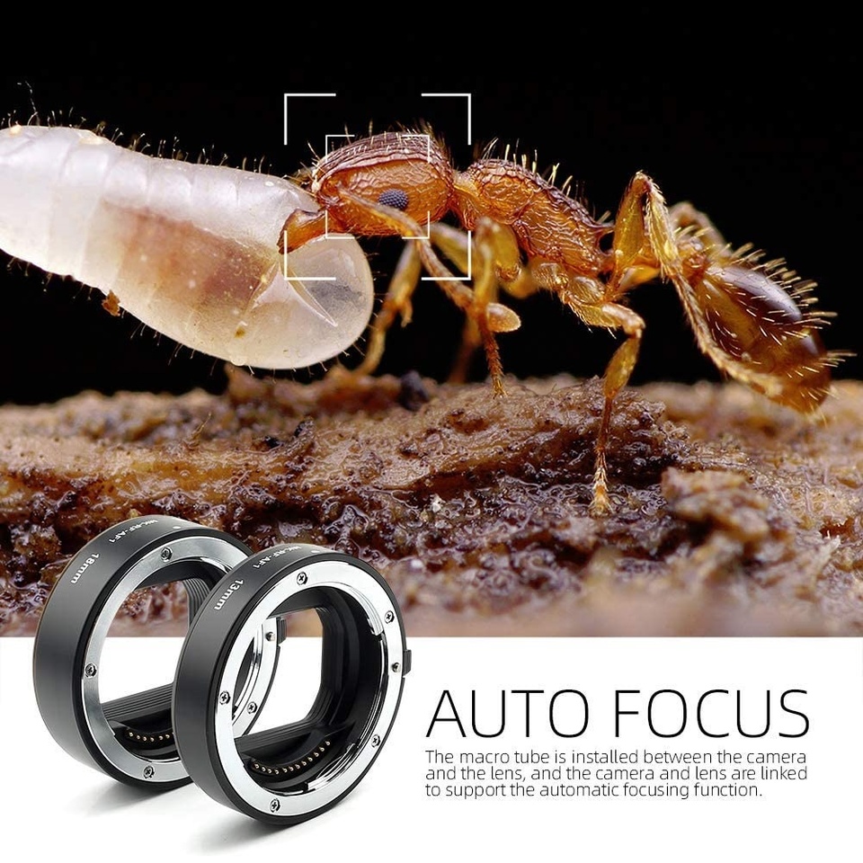 Meike MK-RF-AF1 Anello di Este - Canon Camera Eos R50 recensione e prezzo